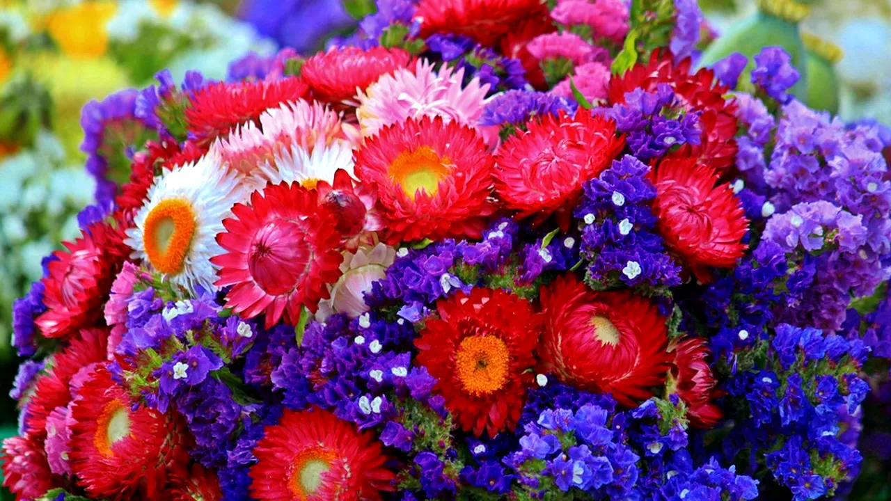 Cum arăta prima floare care a apărut pe Pământ