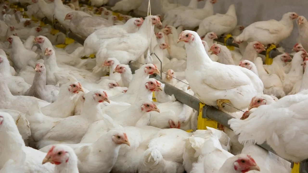 Fermierii vor putea accesa noi fonduri europene prin Programul Național pentru Dezvoltare Rurală