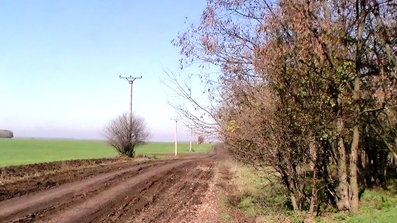 Amendă de 143.000 euro pentru arendașii terenului cumpărat de Ioana Băsescu