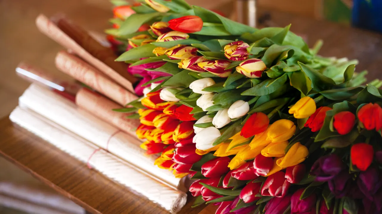 Prețul ireal plătit de un tânăr din Cluj pentru un buchet cu 1001 de lalele, de 8 Martie
