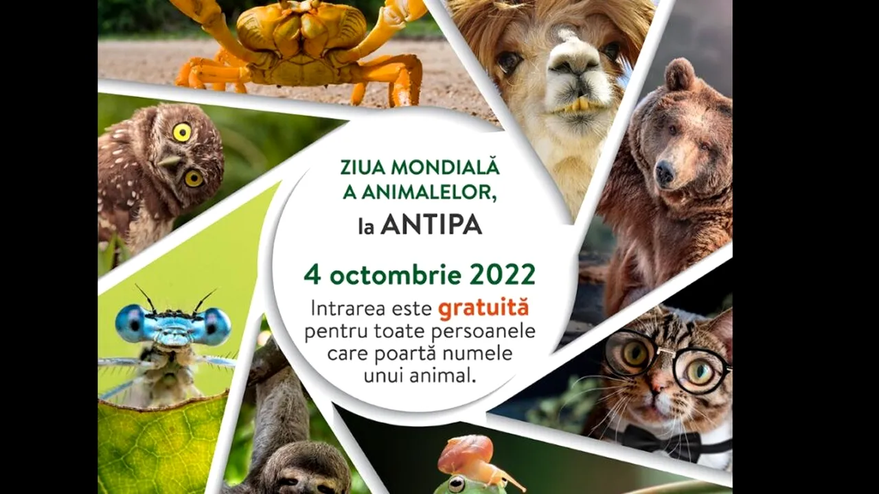 Oferta Muzeului Antipa pentru Ziua Internațională a Animalelor a stârnit reacții savuroase pe internet. „Răzvan-Nicușor Balaur: Numele meu se pune?”