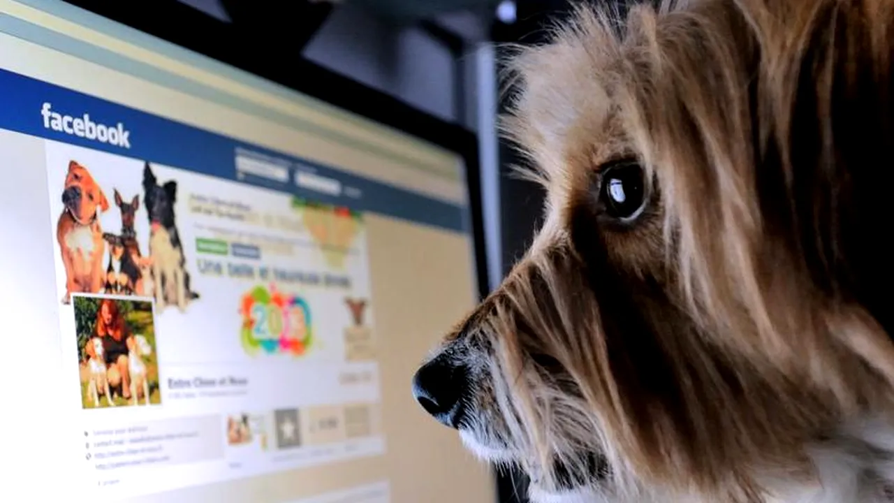 Care este cel mai sigur browser de internet - test NSS Labs