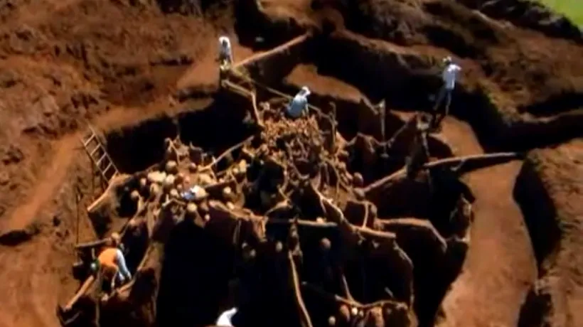 VIDEO: Ce se află în interiorul unui imens mușuroi de furnici. E ca și când ar fi construit Marele Zid Chinezesc