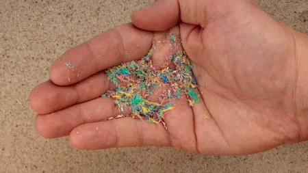 Studiu. Microplasticele favorizează înmulțirea bacteriilor periculoase, rezistente la antibiotice