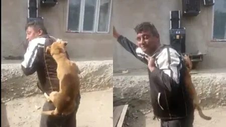 #cugandullaanimale. Un bărbat din Bacău dansează în timp ce strânge de gât un câine: „Lasă-l că are purici