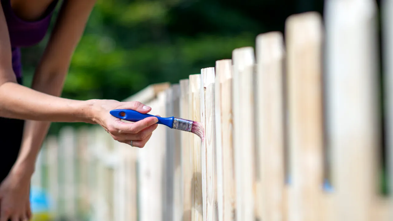 Nu vopsi gardul casei în aceste culori. Valoarea proprietății tale scade fără să-ți dai seama