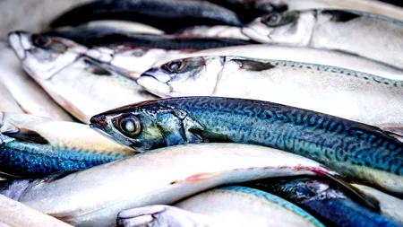 Au fost anunțate REZULTATELE finale ale DSV, în cazul fetiței și a bunicii sale, moarte după ce au mâncat pește. Ce BACTERII le-au fost fatale