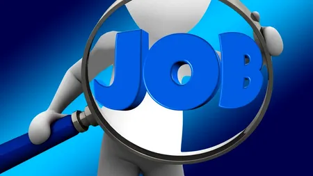 FABULOS | Care sunt modalitățile de lucru la care „se înghesuie” românii când caută un loc de muncă. Trei firme cele mai căutate de candidații la joburi noi