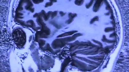 În creierul uman există „un loc al lui Dumnezeu