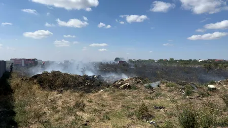 Incendiu de proporții lângă București: Ard 20.000 de metri pătrați de vegetație uscată din Bragadiru / Populația a primit mesaje RO-ALERT