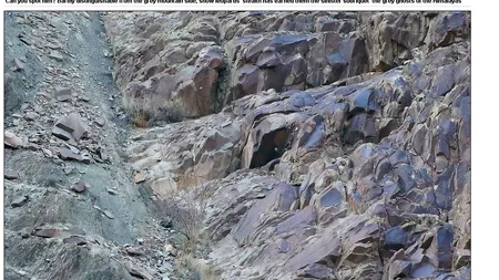 O minune a naturii. Privește această imagine cu mare atenție: ÎL OBSERVI?