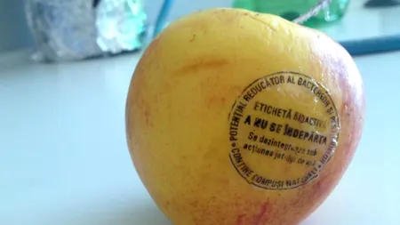 Un cercetător din Cluj a inventat ambalajul antimicrobian pentru fructe și legume