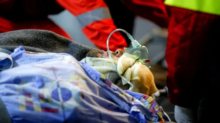 Spitalele nu au capacitatea de a trata MARII ARȘI! Victimele din COLECTIV, scrisoare către DĂNCILĂ