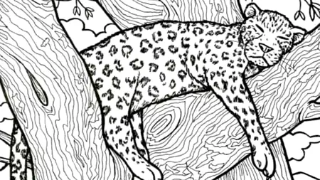 Test de perspicacitate | Doar 3 dintre 100 de oameni pot identifica peștele ascuns în această iluzie optică