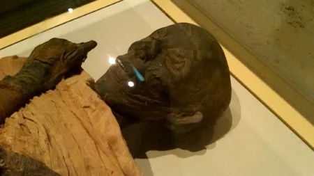 STUDIU. Cum a murit faraonul Ramses al III-lea