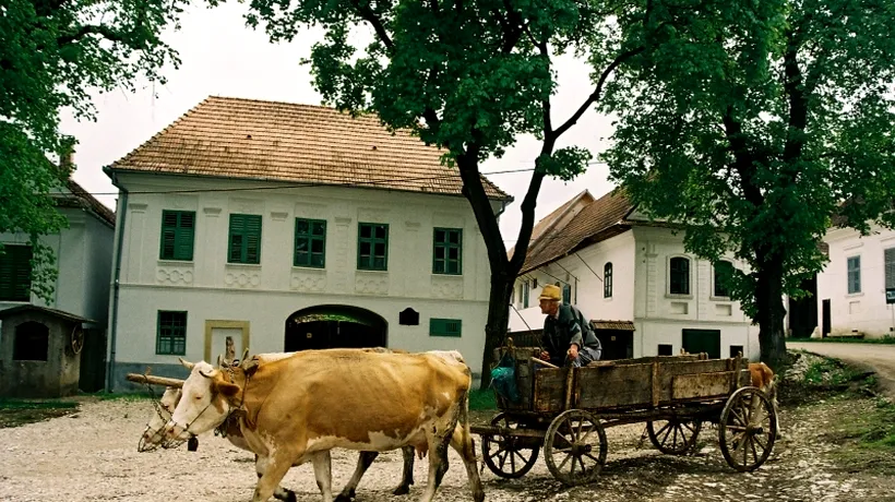 Cum a ajuns o plimbare prin România cu o căruță trasă de boi o experiență memorabilă recomandată de National Geographic