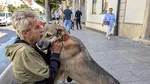 Rămas pe străzi, Mihai din Cluj are o singură grijă: Cui îi rămâne Ursu, câinele său: „Mai bine m-ar lua Dumnezeu”
