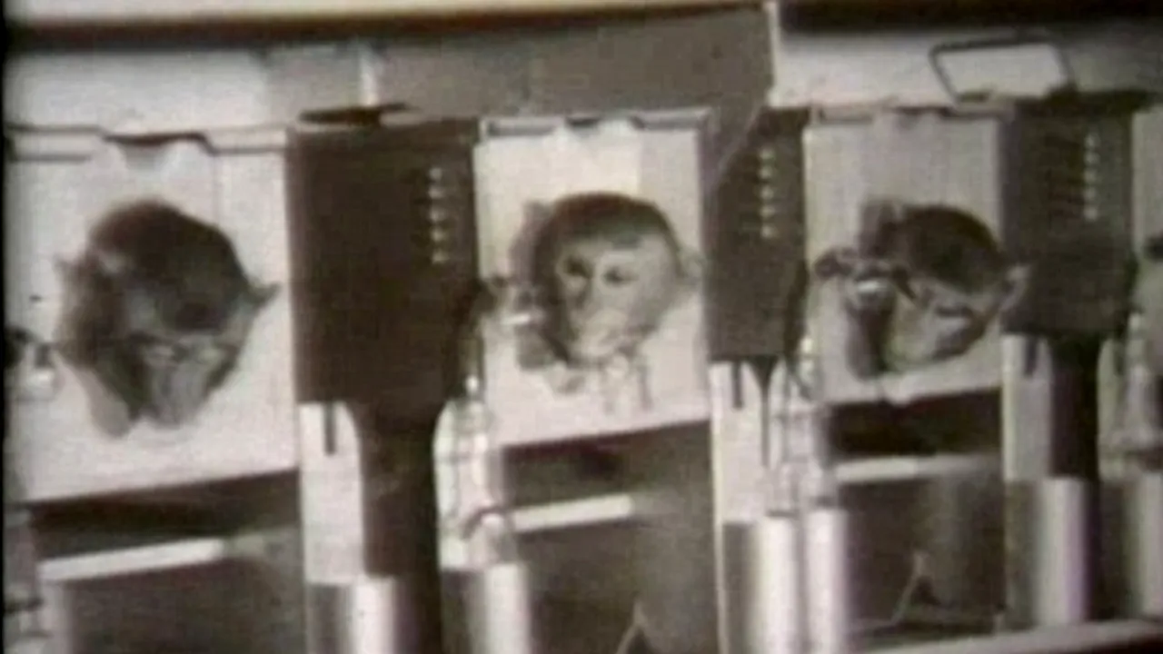 VIDEO. Imagini în premieră din timpul operațiunii secrete 