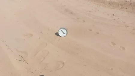 Muncă în câmp la 42 de grade în 