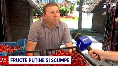 Fructe mai puține și mai scumpe. Cât au ajuns să coste cireșele, caisele și vișinele în piețe