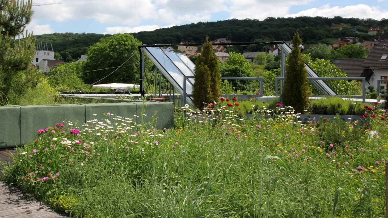 Acoperișuri verzi pentru orașe reziliente la schimbările climatice