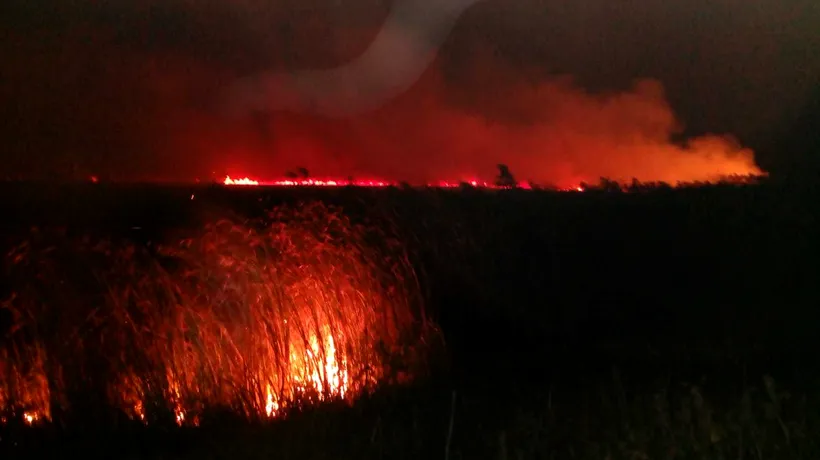 Incendiu puternic în Delta Dunării. Ard 10 hectare de vegetație uscată, iar intervenția pompierilor este îngreunată de întuneric și de terenul mlăștinos