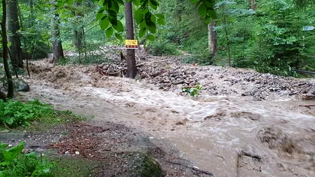 8 ȘTIRI DE LA ORA 8. Județul Neamț, puternic afectat de inundații. Un grup de copii a fost surprins de furtună