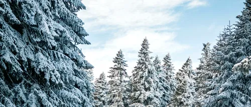 Ninge la munte: începutul unui sezon SPECTACULOS de iarnă