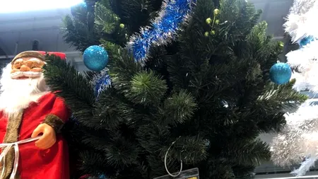 Câți lei costă un brad de Crăciun în supermarket-urile Carrefour din București