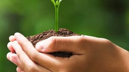 EXCLUSIV GÂNDUL FINANCIAR. Seceta îi obligă pe fermieri să-și asigure culturile. Anul trecut, plățile prin PNDR au crescut de șase ori