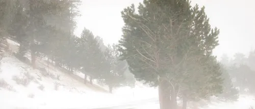 Val de aer POLAR în România. E cod galben de ninsori și ploi. Unde este zăpadă