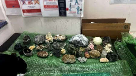 O româncă a încercat să scoată din țară 45 de flori de mină. Voia să le transporte în Marea Britanie / Unde a fost prinsă