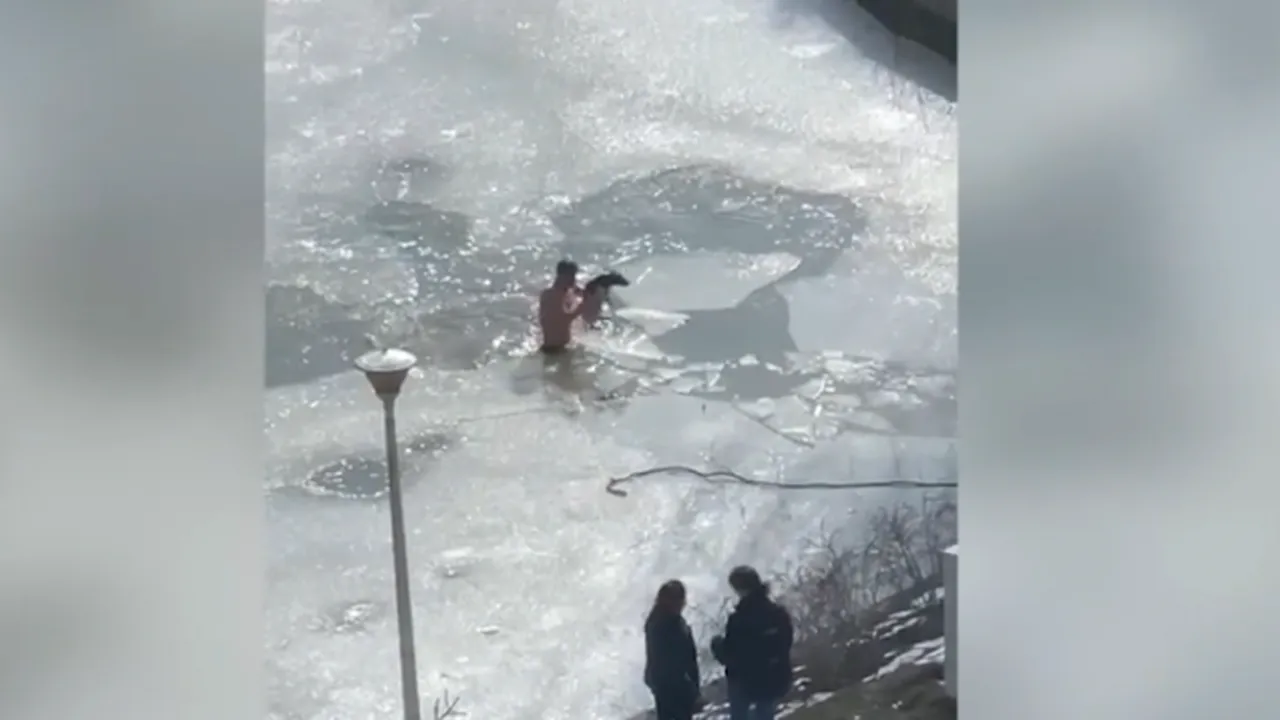 Un tânăr din Dej a sărit în apa înghețată a unui lac pentru a salva un câine