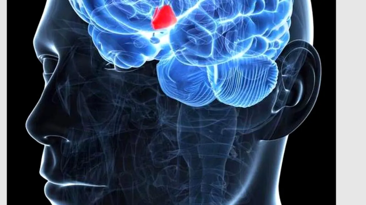 Cercetătorii au reușit să încetinească procesul de îmbătrânire 