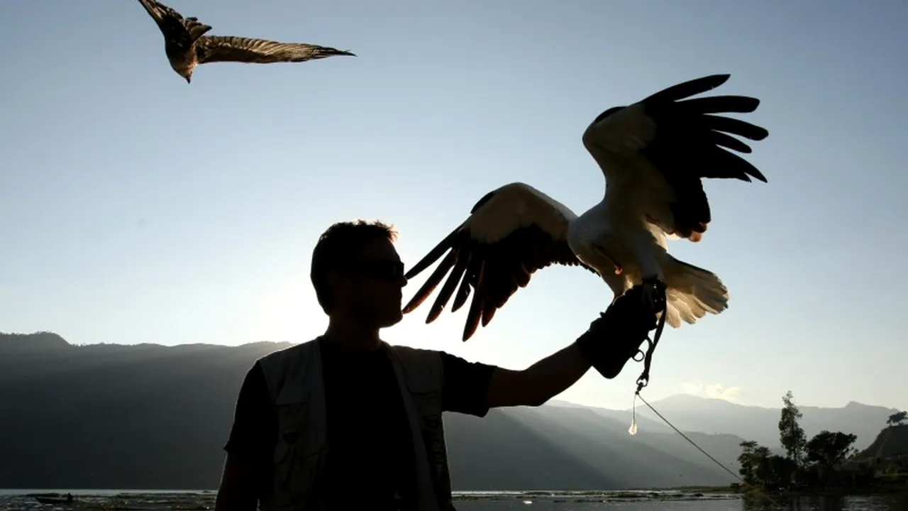 Sudanul ar fi capturat un vultur ce ar fi folosit de Israel pentru spionaj