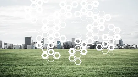 Acord de principiu la nivelul UE pentru stimularea tehnologiilor ECOLOGICE, în competiția cu SUA și China