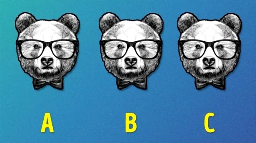 TEST IQ exclusiv pentru genii | Găsiți care urs este diferit de ceilalți doi, în cel mult 15 secunde!