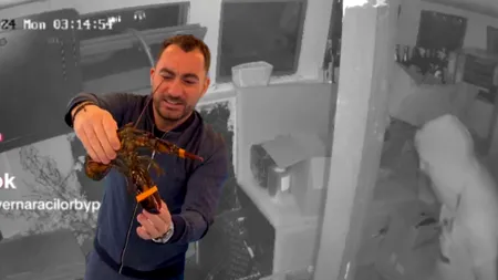 Pescobar, JEFUIT în timp ce se afla în Germania la meciul României de la EURO 2024. Hoțul, surprins de camerele de supraveghere din locuința sa