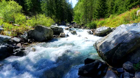 „Nu lăsa pe nimeni în urmă