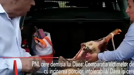 Se cere DEMISIA lui DAEA, după ce a comparat victimele Holocaustului cu incinerarea PORCILOR