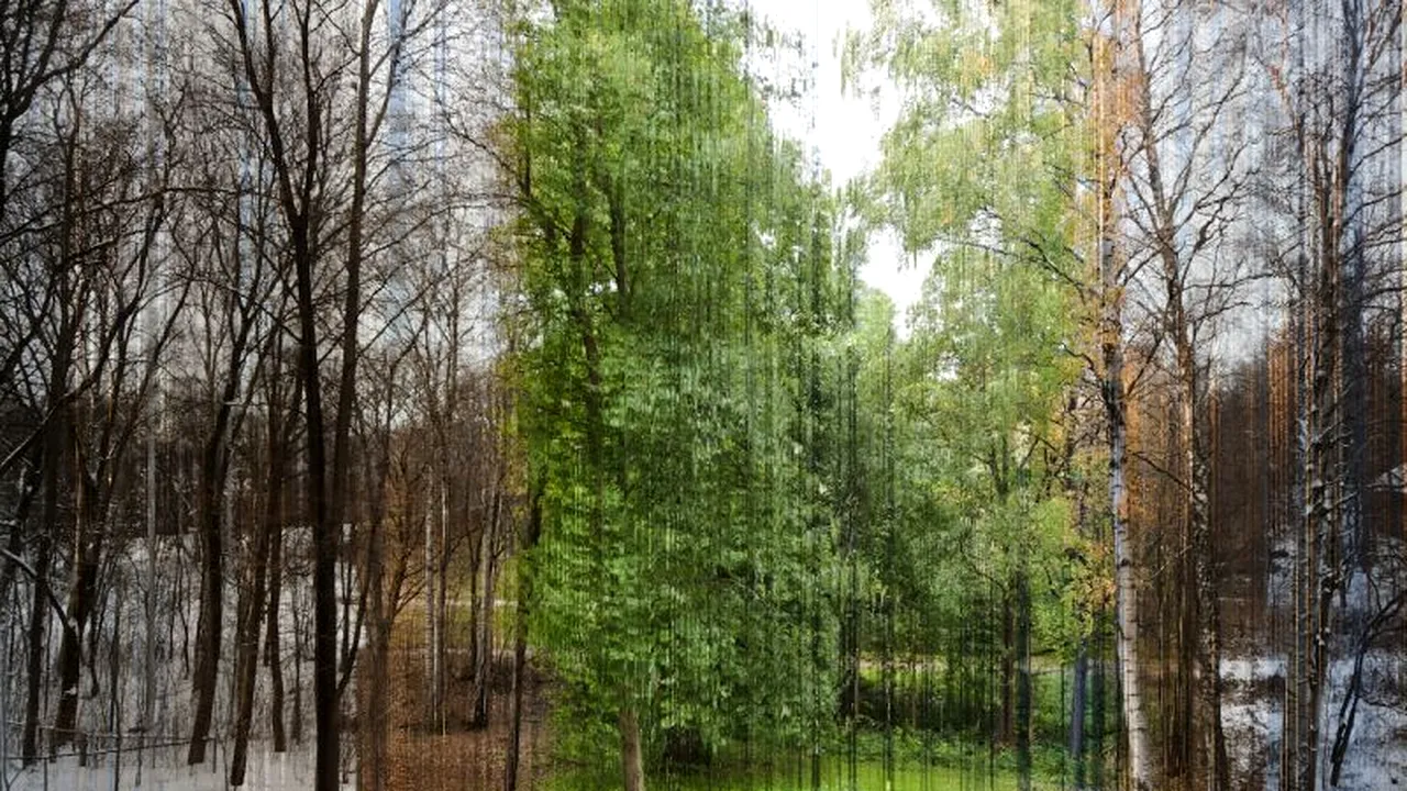 Anotimpul în care ne naștem ne afectează personalitatea. STUDIU