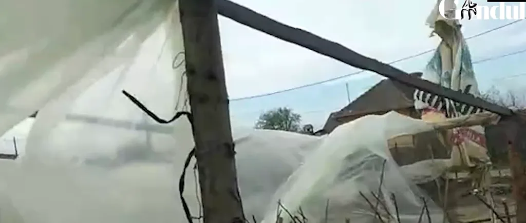 Vântul a făcut prăpăd la Dăbuleni și a distrus solariile unde s-au plantat pepeni | VIDEO
