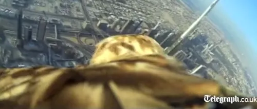 Imagini spectaculoase. Cum arată Dubaiul de sus, văzut prin ochii unui vultur
