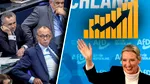 AfD atinge un maxim istoric în preferințele electoratului din Germania. Partidul lui Merz, în cădere liberă. Doar 15% mai sunt mulțumiți de cancelar