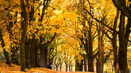ANM anunță o lună septembrie cu temperaturi neașteptate. Cum va fi vremea în următoarele patru săptămâni