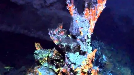 Cercetătorii au descoperit strămoșul tuturor vietăților de pe Terra