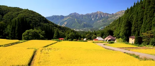 Locul UNIC din România, care seamănă cu o stațiune faimoasă din Japonia și se află foarte aproape de Brașov