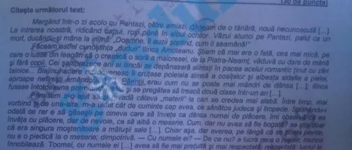 Perle la BACALAUREAT 2012. Ce au găsit profesorii de Română în tezele liceenilor