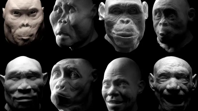 Homo erectus nu era singur. Alte două specii de hominizi au trăit în aceeași perioadă