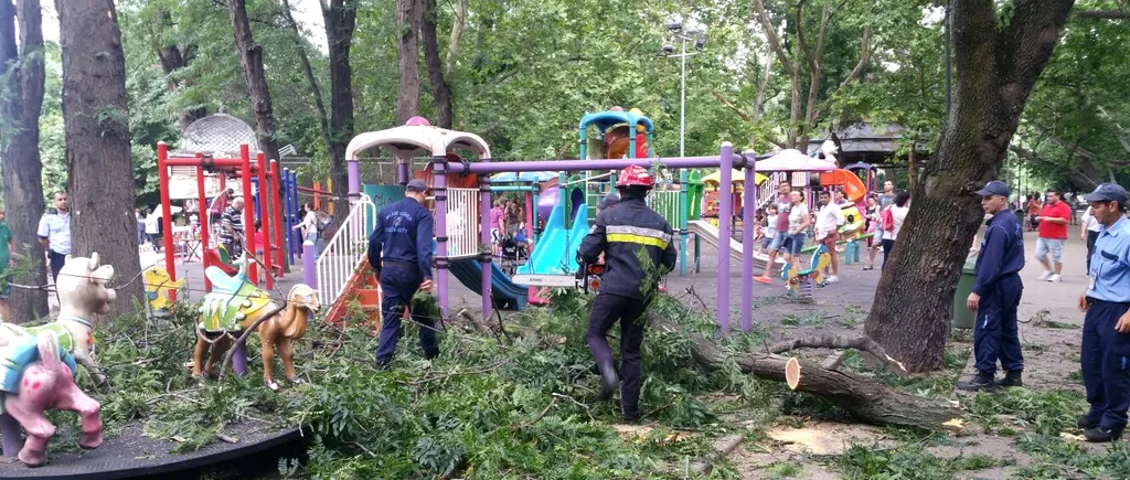 Copii răniți în Parcul Cișmigiu, după ce o creangă a căzut peste un loc de joacă. GALERIE FOTO